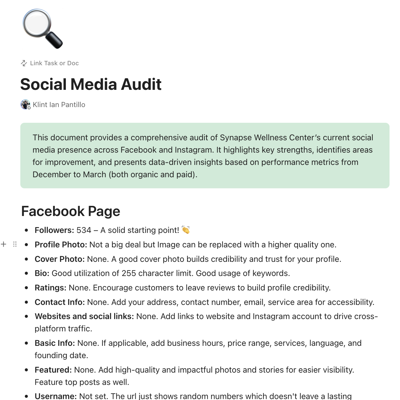 Social Media Audit